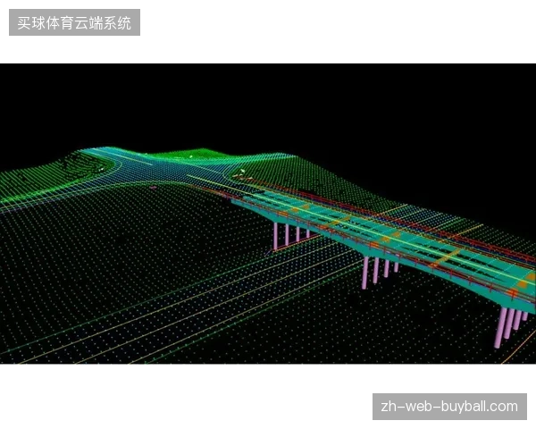 基础设施数字化投入大幅攀升，但部分赛事运营效率为何未能同频跟进？
